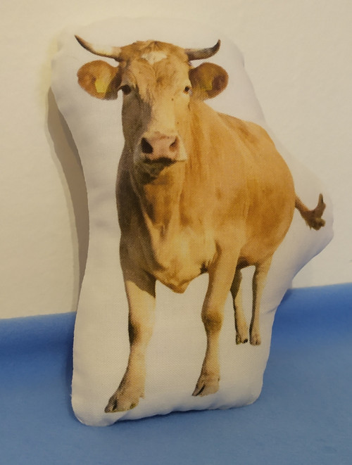 Hajánek 1