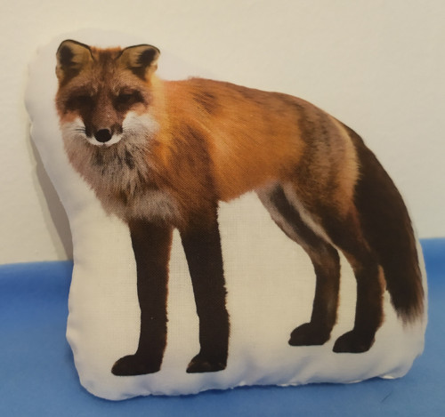 Hajánek 11