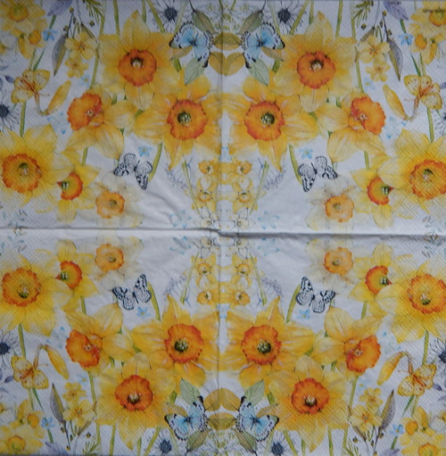 Narcisky a motýl 3982