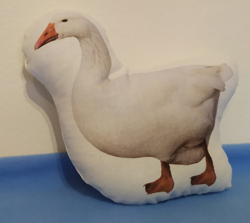 Hajánek 21