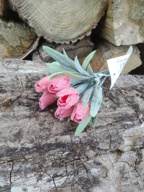 Mini tulipán 3ks- sv.červený