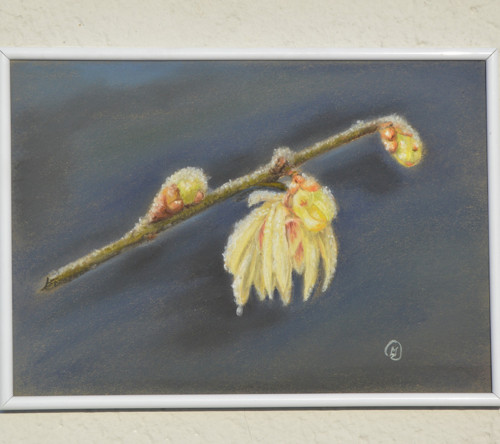 Originál suchý pastel- jarní orosení - 28 x 21 cm