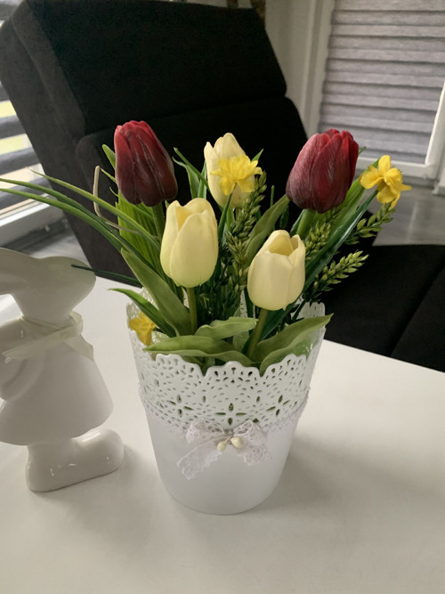 Tulipány — foto 1