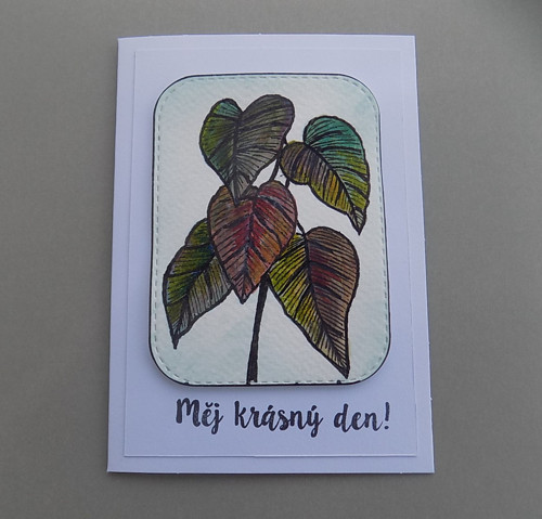 PŘÁNÍ — foto 1