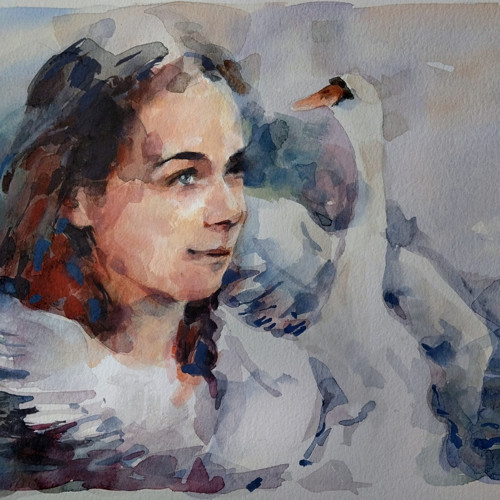 Bílá labuť - studie, originál A3
