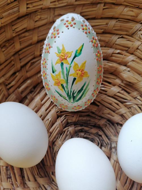 Husí kraslice (narcis)