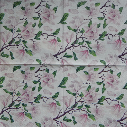 Magnolie 4018