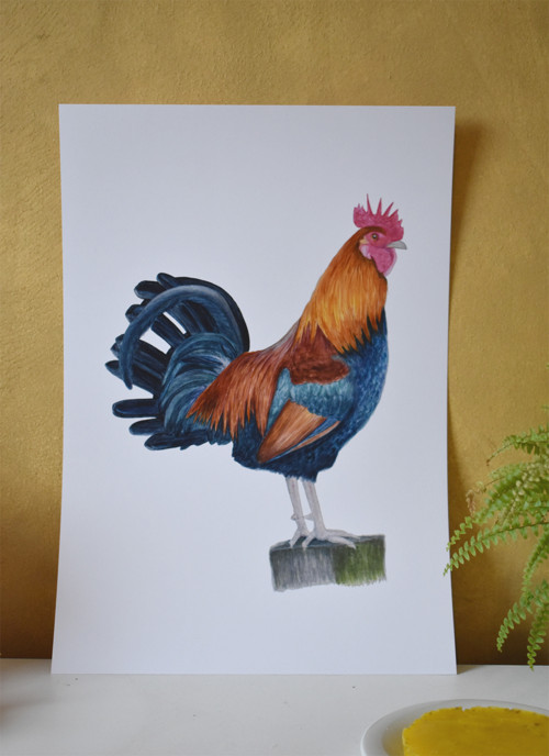 "Pan Kohout" art print