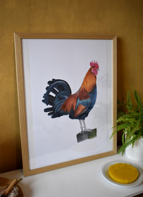 "Pan Kohout" art print v rámu