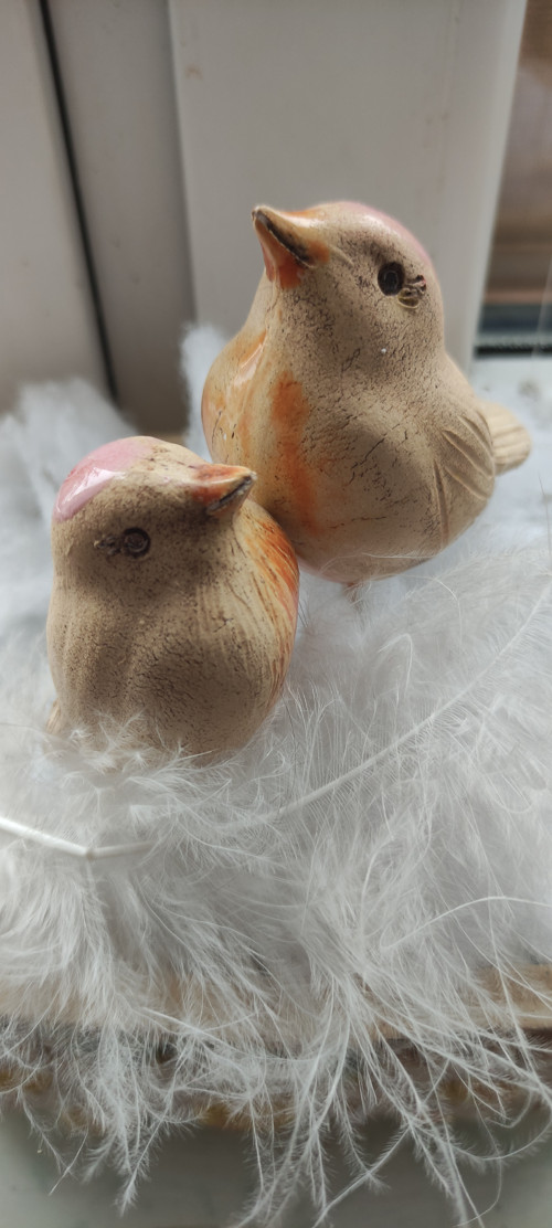 Ptáčci — foto 1