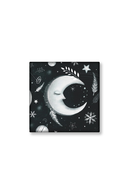 Ilustrace na plátně 20 x 20 cm - Únorový měsíc
