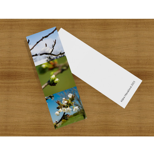 Třešeň 2