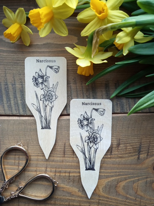 Vintage flowers NARCIS - dřevěný zápich velký