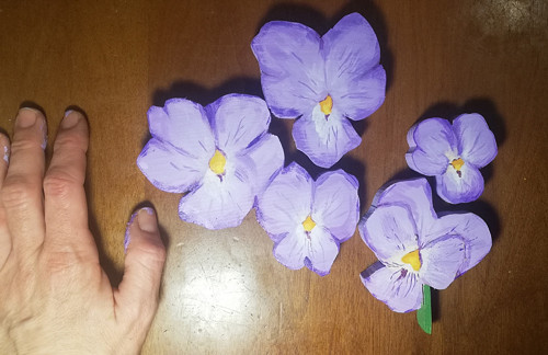 Violky natrvalo — foto 1