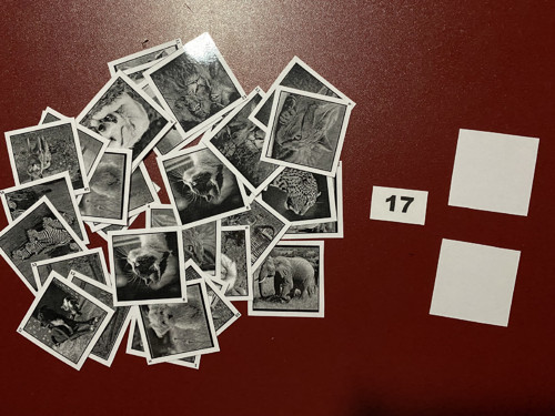 Pexeso vel.L č.17 - zvířata (36kousků)