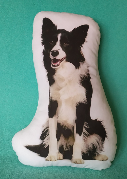Polštářek P9