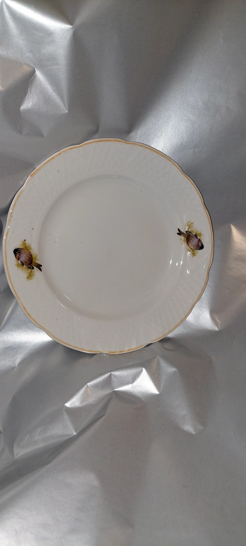 Porcelánový talíř