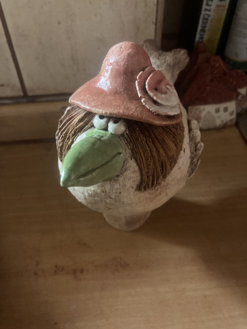 Jarní pták-zápich — foto 1
