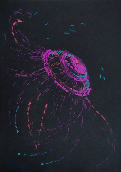 Jellyfish