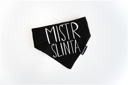 Psí šátek “Mistr slinta” — foto 1