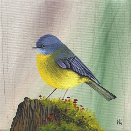 Lejsčík žlutý - 20x20cm — foto 1