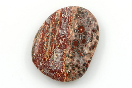Jaspis leopardí 4,2 cm — foto 1