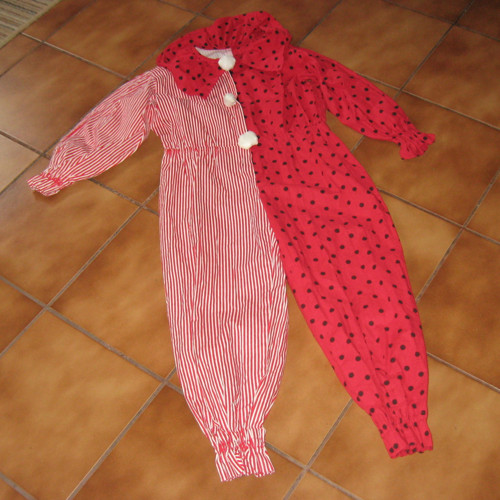 Šašek 16909 P37 — foto 1