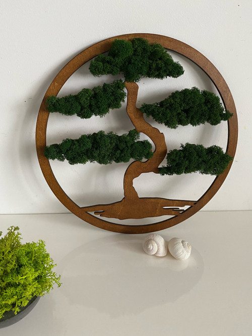 Mechová dekorace - bonsai pr. 40cm