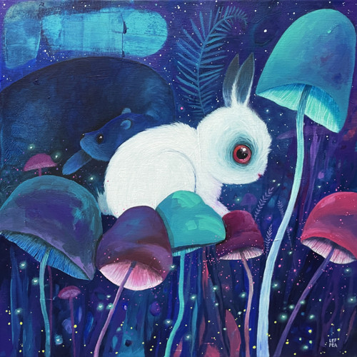 Noc v kouzelném lese - 40x40cm — foto 1