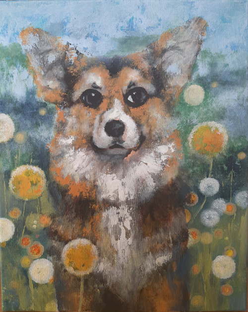 Corgi