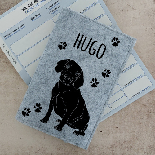 Obal na petpass Bígl