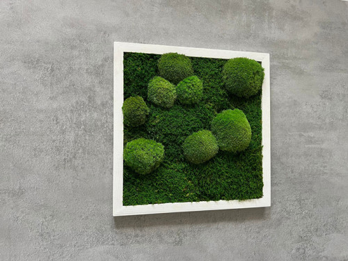Mechový Obraz 35X35