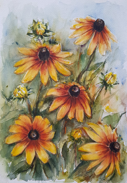 Rudbekie (srpen) — foto 1
