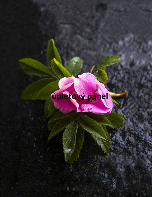 Úpletový panel - růže 58 x 62cm