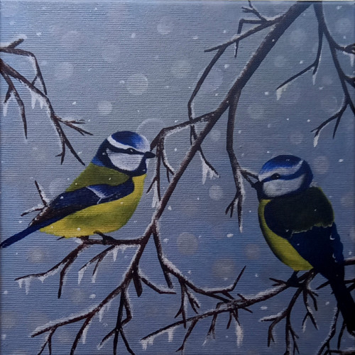 Sýkorky ve větvích, 30x30 cm - reprodukce