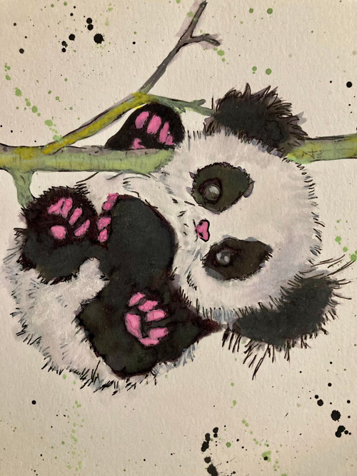 Akvarel panda - originál