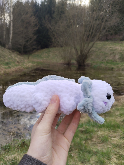 Axolotl — foto 1