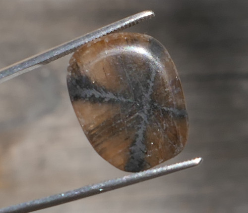 Chiastolit (18,5 mm) J9481