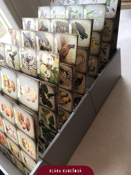 Pexeso - motýli — foto 1