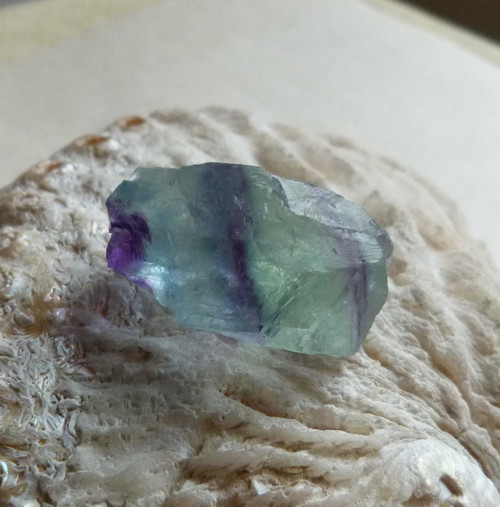 Fluorit surový - 3 cm — foto 1