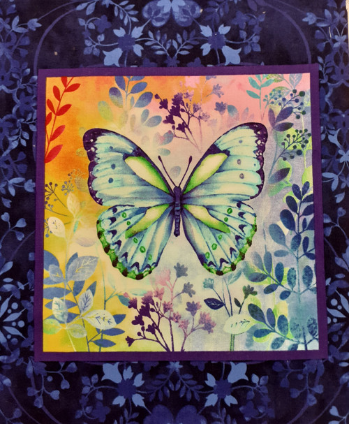 Barevní motýli — foto 1