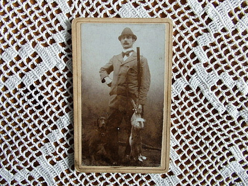 Na lovu - kabinetka — foto 1
