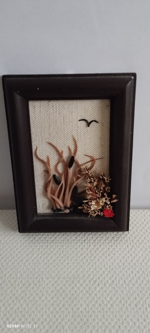 Obrázek miniatura rákosí a racek