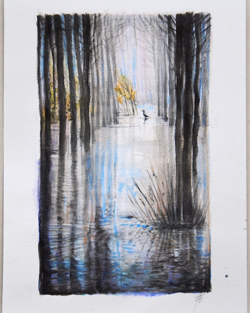 „Meditace …/volavka/ I“,originál akvarel