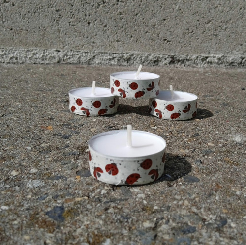 Berušky