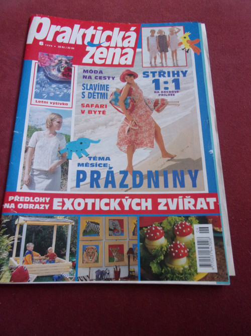 Praktická žena č. 6/1999