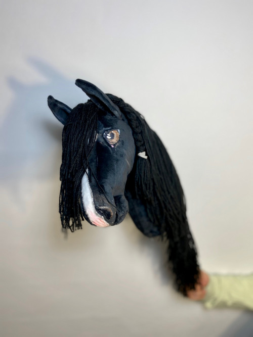 Velšský pony typu Cob - na přání — foto 1