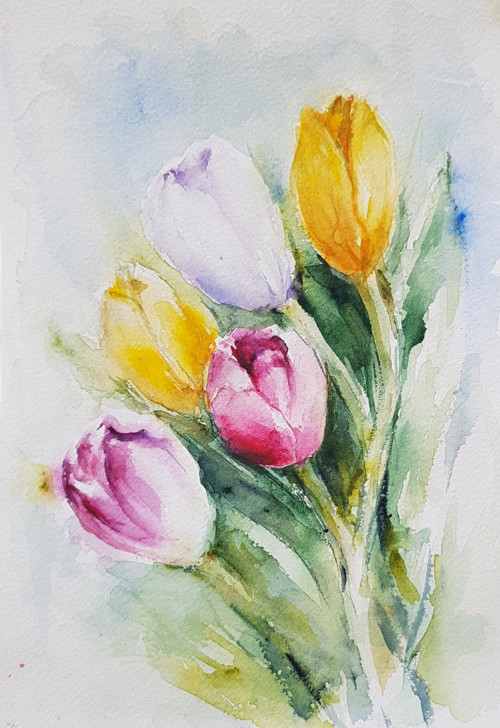 Tulipány — foto 1