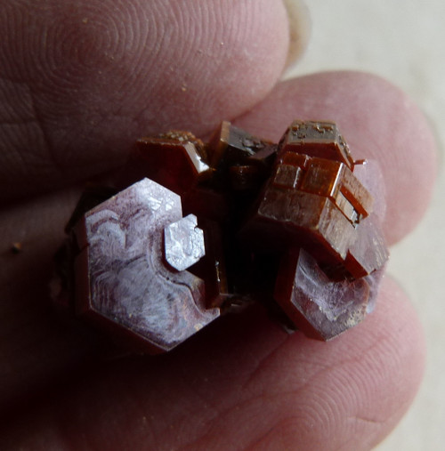 Vanadinit - 2,2 cm — foto 1