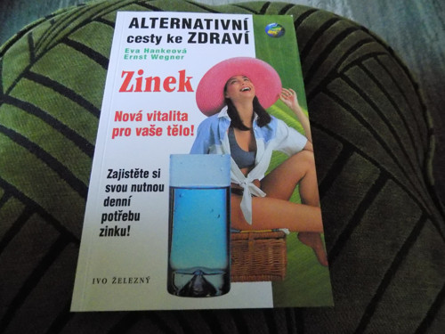 Alternativní cesty ke zdraví ZINEK - knížka